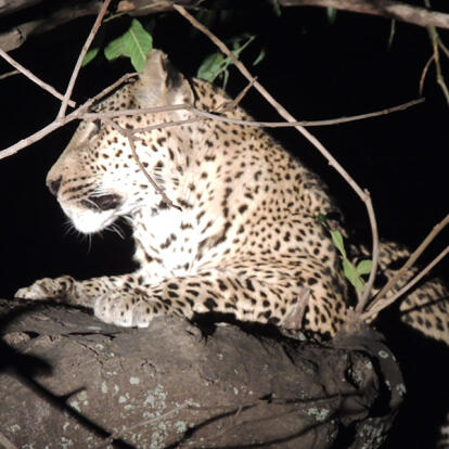 Voyage en Zambie de Christine & Dominique L.