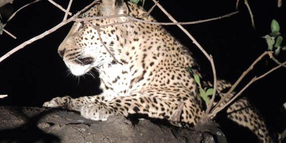 Voyage en Zambie de Christine & Dominique L.