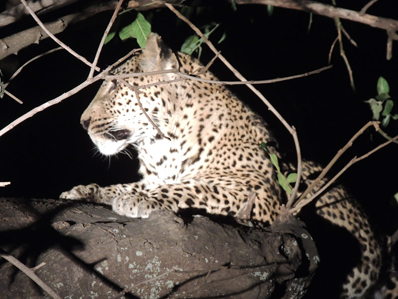 Voyage en Zambie de Christine & Dominique L.