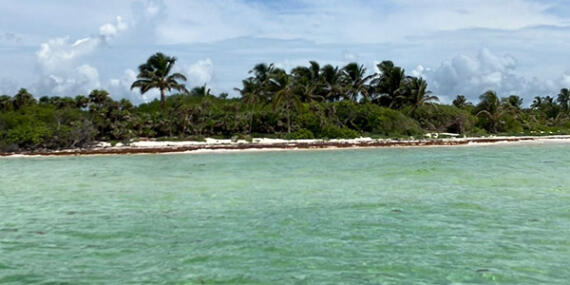 Voyage au Mexique de Huyghe B.