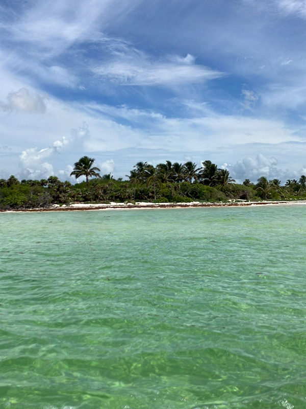 Voyage au Mexique de Huyghe B.