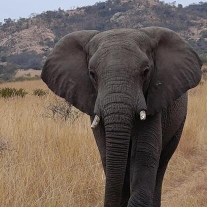 Voyage en Afrique du Sud de la Famille d'Emilie T.