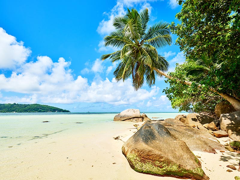 Voyage aux Seychelles de Fanny