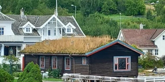 Voyage en Norvège de Martine B.