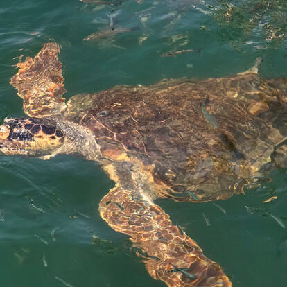 Voyage en Turquie de Serge G.