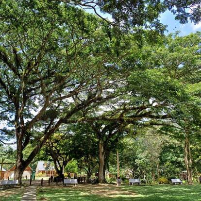 Voyage à Trinité et Tobago de Sabine K.