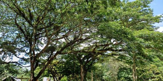 Voyage à Trinité et Tobago de Sabine K.