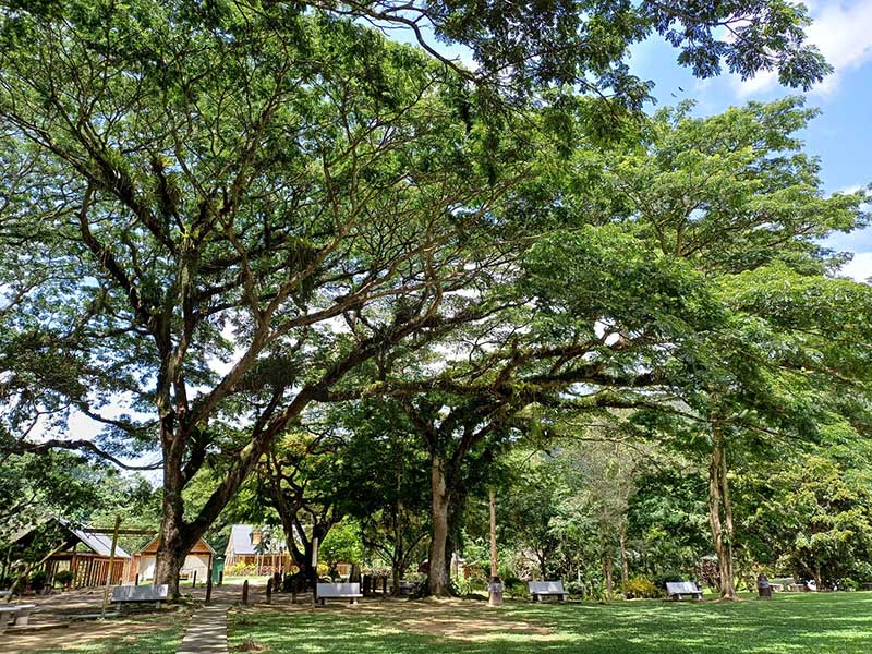 Voyage à Trinité et Tobago de Sabine K.
