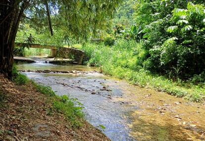 Voyage à Trinité et Tobago de Sabine K.