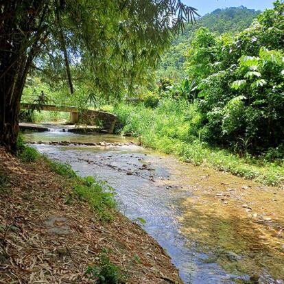 Voyage à Trinité et Tobago de Sabine K.
