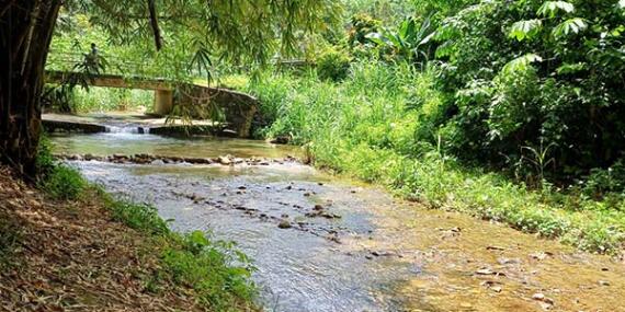 Voyage à Trinité et Tobago de Sabine K.