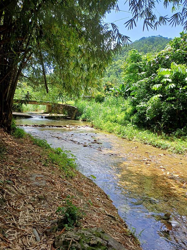 Voyage à Trinité et Tobago de Sabine K.