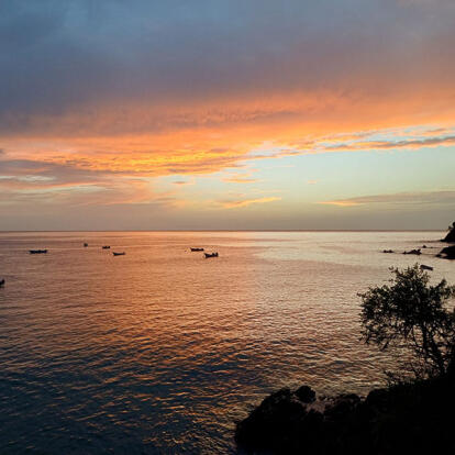 Voyage à Trinité et Tobago de Sabine K.
