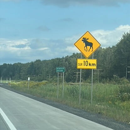 Voyage au Canada de Sophie D.