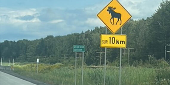 Voyage au Canada de Sophie D.