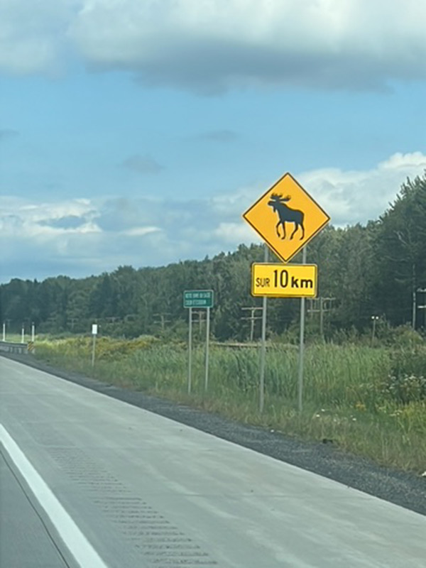 Voyage au Canada de Sophie D.