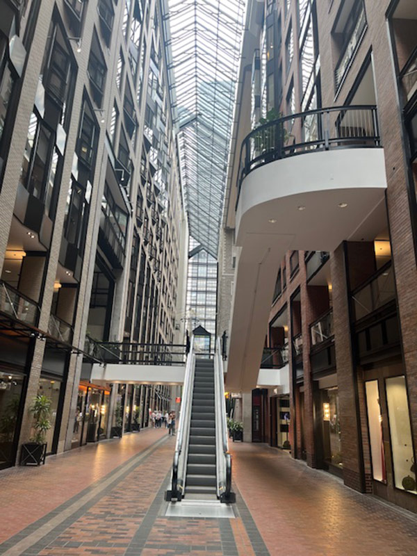 Voyage au Canada de Sophie D.