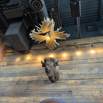 Voyage au Canada de Sophie D.