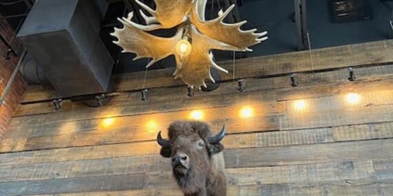 Voyage au Canada de Sophie D.