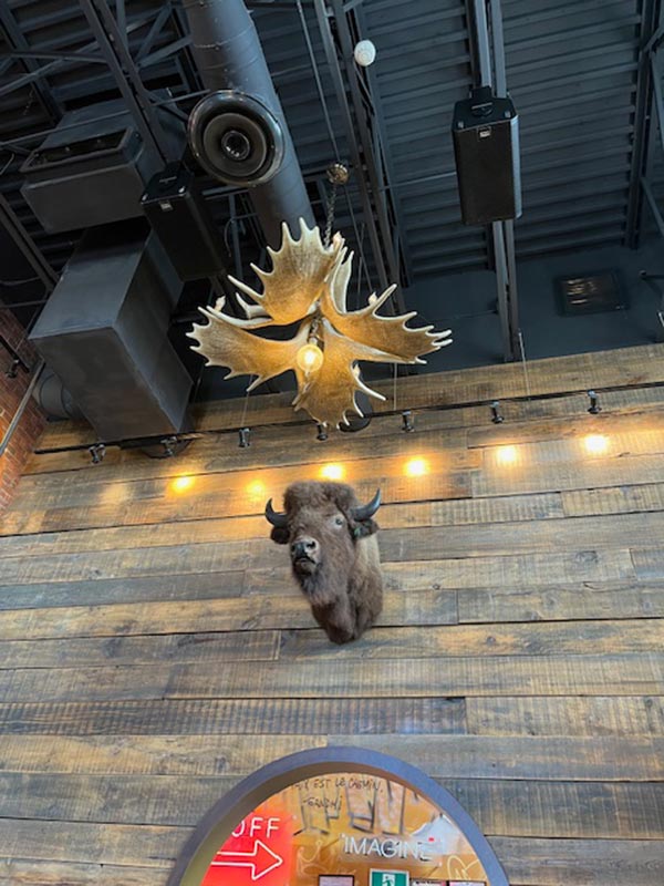 Voyage au Canada de Sophie D.