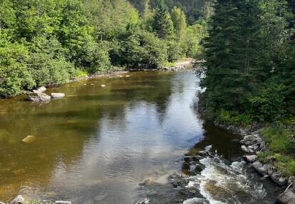 Voyage au Canada de Sophie D.