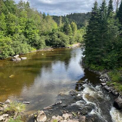 Voyage au Canada de Sophie D.