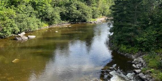 Voyage au Canada de Sophie D.