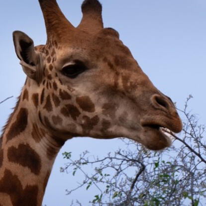 Voyage au Rwanda de Marie L.