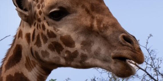 Voyage au Rwanda de Marie L.