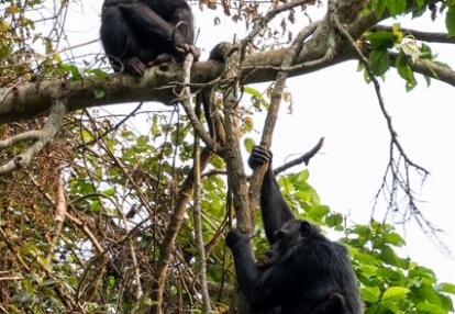 Voyage au Rwanda de Marie L.