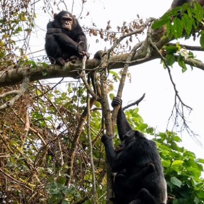 Voyage au Rwanda de Marie L.