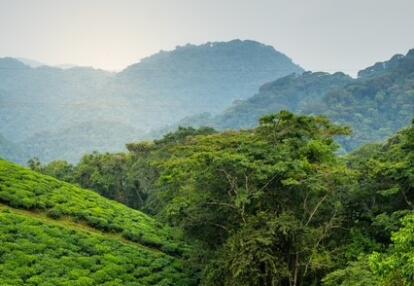 Voyage au Rwanda de Marie L.