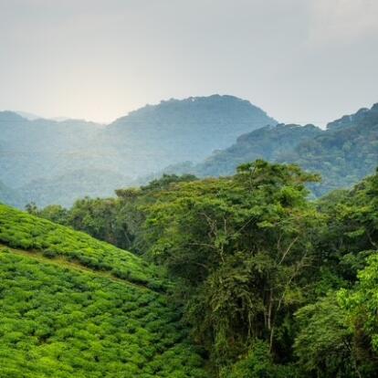 Voyage au Rwanda de Marie L.