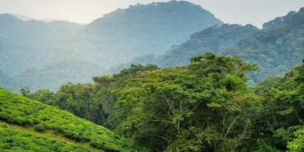 Voyage au Rwanda de Marie L.