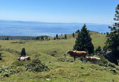 Voyage en Slovénie de Laurent G.