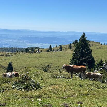 Voyage en Slovénie de Laurent G.