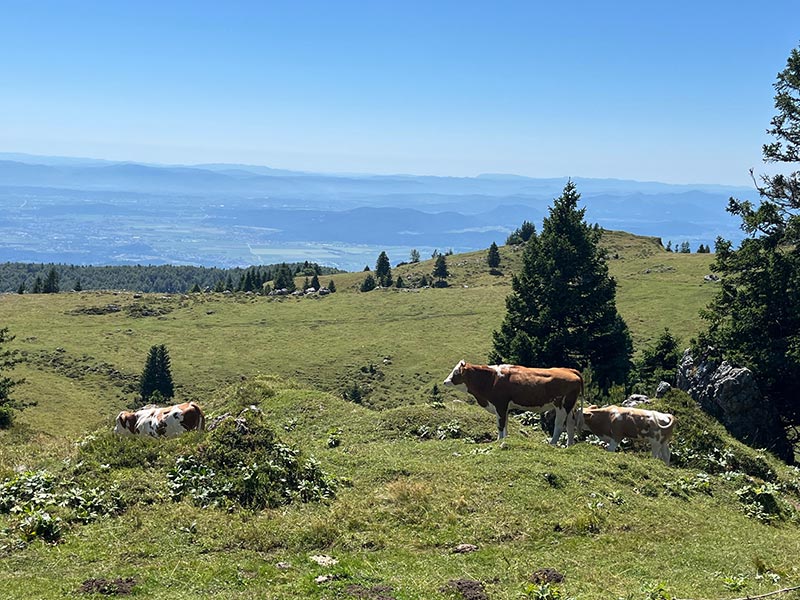 Voyage en Slovénie de Laurent G.