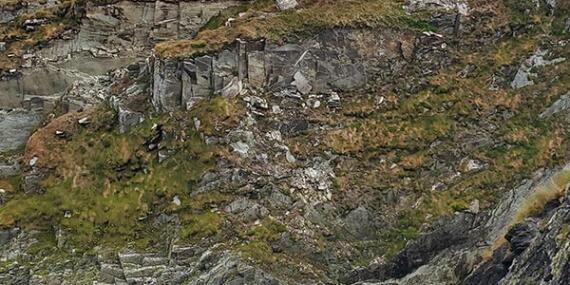 Voyage en Irlande d'e la Famille d'Anna H.