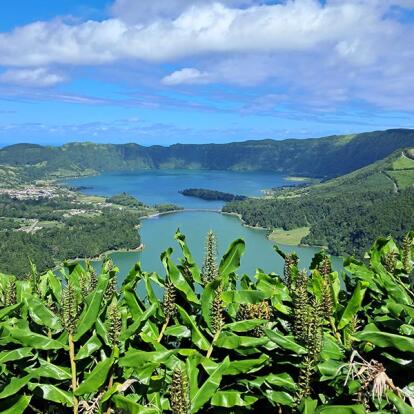 Voyage aux Açores de Michelle P.