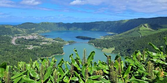 Voyage aux Açores de Michelle P.
