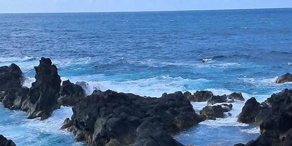 Voyage aux Açores de Michelle P.