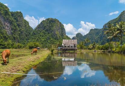 Sulawesi ; La vallée de Rammang Rammang Voyage en Indonésie de Didier W.