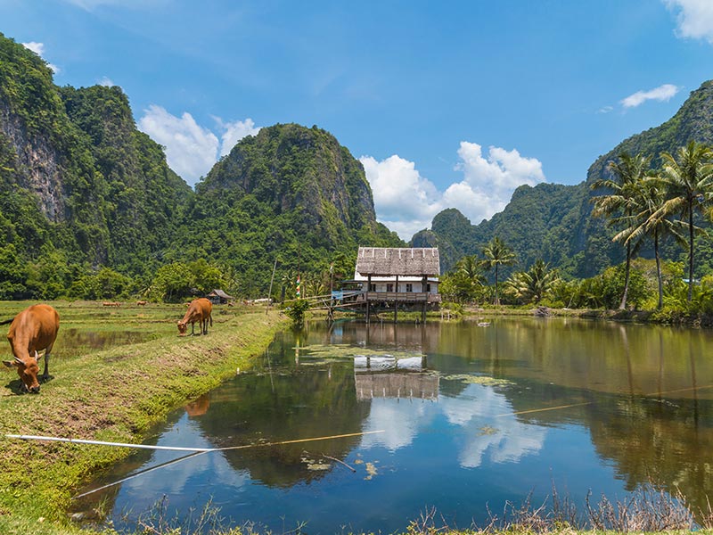 Voyage en Indonésie de Didier W.