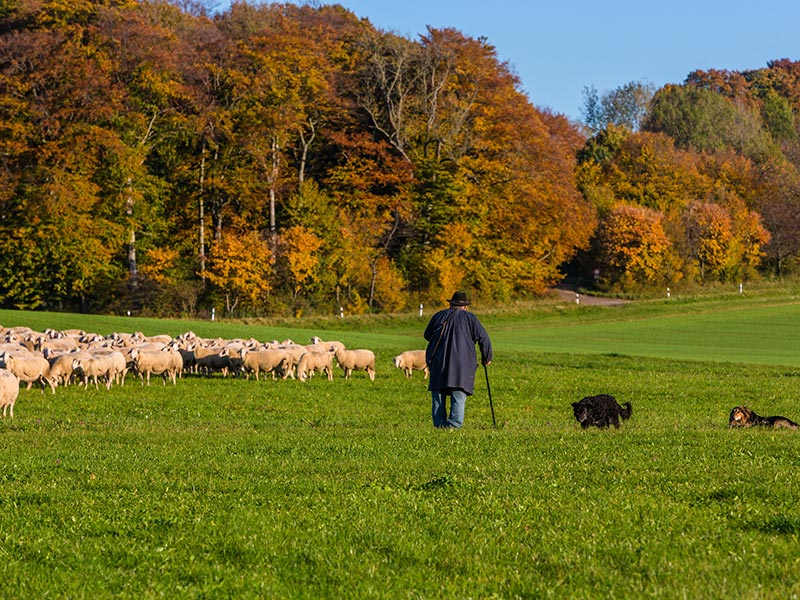 Voyage en Albanie du Groupe de Léon V.