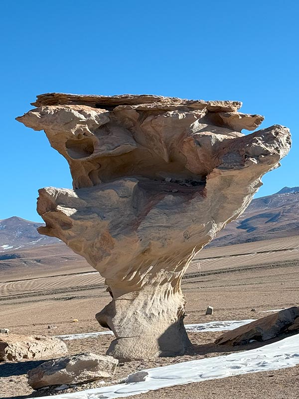 Voyage Combiné Bolivie-Chili de Virginie L.