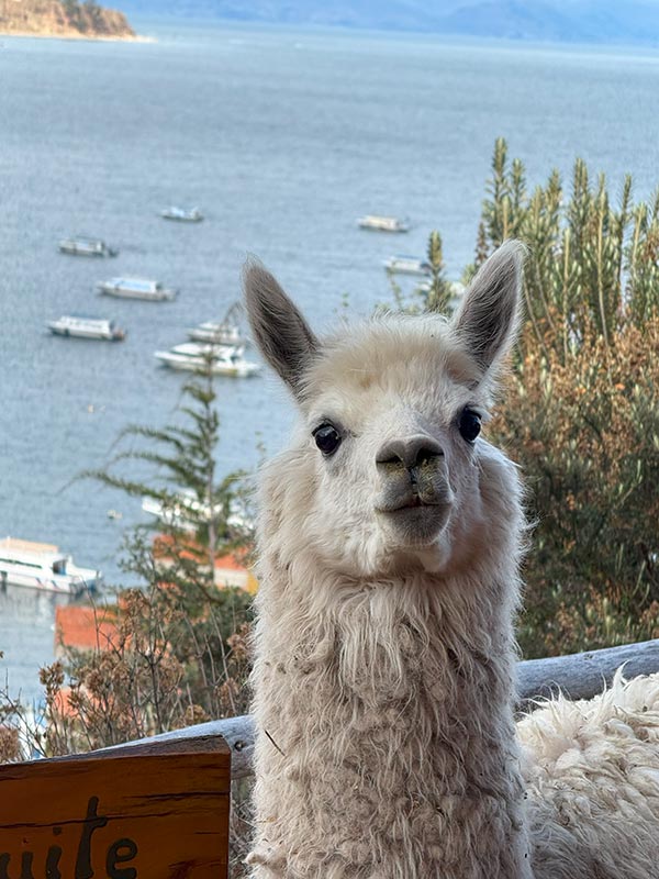 Voyage Combiné Bolivie-Chili de Virginie L.