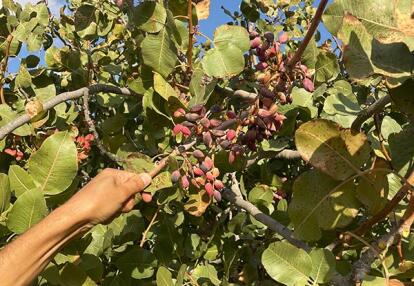 Voyage en Tunisie de Leila B.