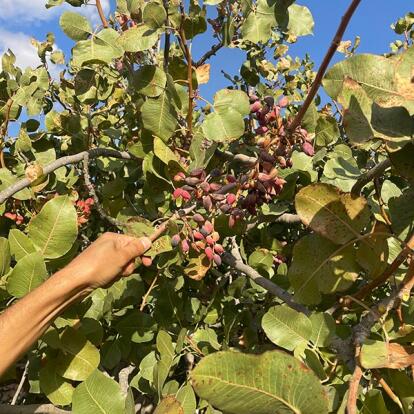 Voyage En Tunisie De Leila Voyage en Tunisie de Leila B.