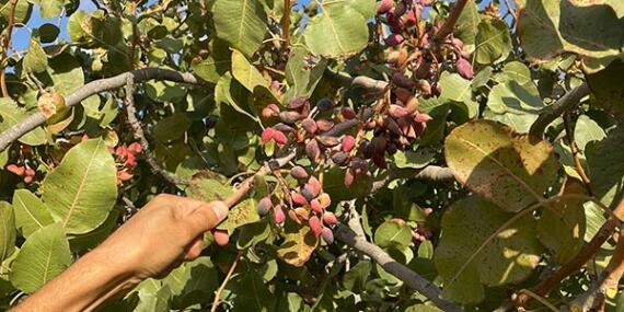 Voyage en Tunisie de Leila B.