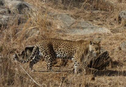 Voyage en Afrique du Sud de Frédéric et Stéphanie F.